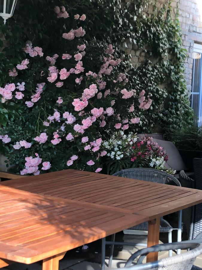 Ferienwohnung In Werder Havel Innenstadt Zewnętrze zdjęcie